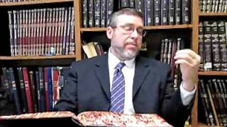 Sanhedrin 15 Rabbi Daniel Korobkin Audio File 2017 07 31 [upl. by Mordy]