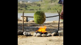 Cooking a wild cactus for a delicious meal 🌵 Funny Moments by YayTime shorts [upl. by Sawyere]