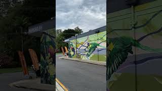 Mural in Jindalee shopping village [upl. by Elrahc]