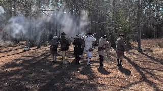 Battle of Cowpens Firing Demonstraition history americanhistory revolutionarywar FiringDemo [upl. by Sonnie]