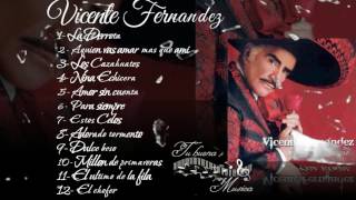 Vicente Fernandez Album para siempre [upl. by Yaj]