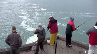 lorne pier [upl. by Xuagram930]