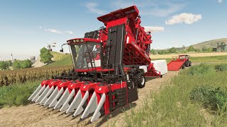 Harvesting amp Selling Cotton  Farming Simulator 19 [upl. by Evelyn760]