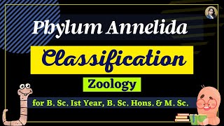 Phylum Annelida classification up to order level II Zoology II Life amp Diversity [upl. by Ramedlab]