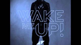 Avicii  Wake me up Speed up [upl. by Dyrraj]