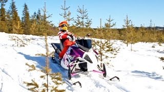 Sled Season 2013 Edit Sweden HD [upl. by Saimon]