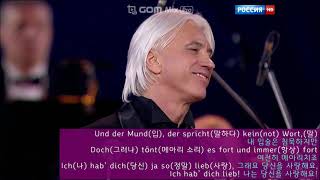 Lippen Schweigen lyrics 歌词 letra текст песни Text paroles de chanson Testi [upl. by Melvina]