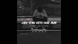 JADO TENU MERI YAAD AUNI full song [upl. by Ellimak]