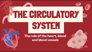 GRADE 9 SCIENCE QUARTER 1 MODULE 1  The Circulatory System and its parts [upl. by Lemak574]