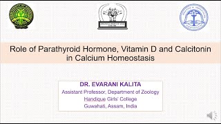 Role of Parathyroid Hormone Vitamin D and Calcitonin in Calcium Homeostasis [upl. by Egide409]