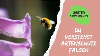 Du verstehst Artenschutz falsch  Gartenexpedition naturgarten [upl. by Onnem287]