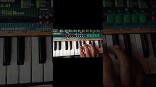 casiomusicpianoyoutubeshortssong [upl. by Atiuqihs425]