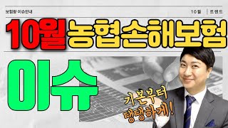 10월 농협손해보험 신상품이슈 가성비 초경증보험 강력추천 [upl. by Deibel]