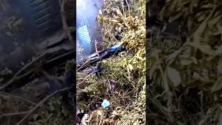 Air Dynasty Helicopter Crash in Suryachaur [upl. by Clementi]