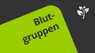 Wie werden die Blutgruppen AB0 und der Rhesusfaktor vererbt  Biologie  Genetik [upl. by Darum]