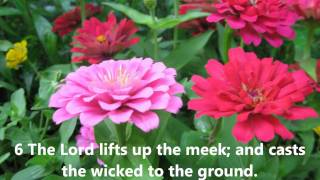 Scottish Metrical Psalms  Psalm 147 with wordsLyrics Sang Acapella [upl. by Kielty715]