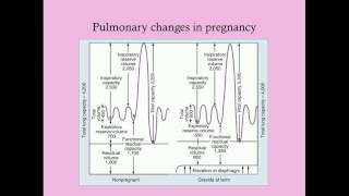 Basic Physiology of Pregnancy  CRASH Medical Review Series [upl. by Farl]