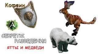 ArcheAge Разведение Ятт и Медведей подробно [upl. by Ollehto]