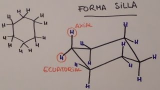 como dibujar un ciclohexano en forma silla [upl. by Sprung]