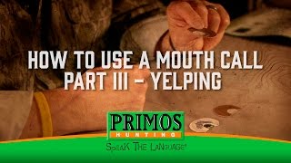 How to Use a Mouth Turkey Call Part III  Yelping [upl. by Eadas605]