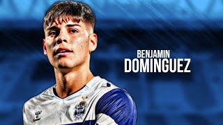 Benjamín Domínguez • Highlights • 2023  HD [upl. by Ahseined]