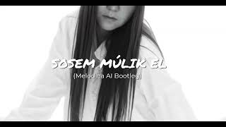 Nagy Adri  Sosem múlik el Melodica AI Bootleg [upl. by Haraf927]