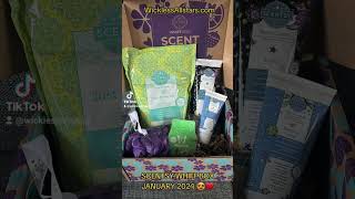 SCENTSY WHIFF BOX JANUARY 2024 ❤️ [upl. by Gunzburg877]