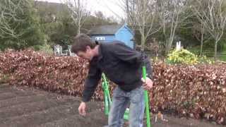 How to Sow Radish Seeds [upl. by Body]