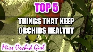 5 things that keep your Orchids healthier [upl. by Spear486]