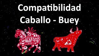 Compatibilidad Caballo  Buey Horóscopo Chino [upl. by Thais]