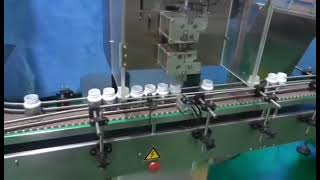 Bottle Tablet Filling Counting Line Hilton Machinery  9909820806 [upl. by Innoc]