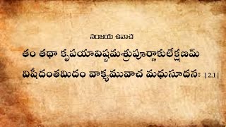 Bhagavad Gita Chanting Chapter2 With Text in Teluguభగవద్గీత పారాయణం తెలుగులొ [upl. by Behrens]