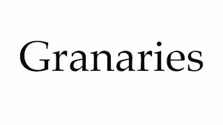 How to Pronounce Granaries [upl. by Tiloine]