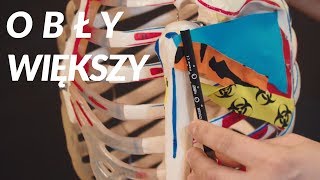 💀☕ Mięsień obły większy  anatomia  stożek rotatorów  Anatomia Przy Kawie 14 [upl. by Eciral]