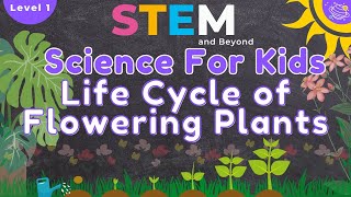 Life Cycle of Flowering Plants  Science For Kids  STEM Home Learning [upl. by Nitza134]