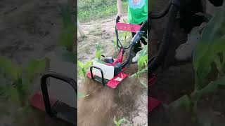 Weeder is a multifunctional rotary tiller that is used for ditching and cultivating in orchard😱 [upl. by Hannah983]