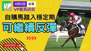 香港 賽馬分析 9月11日｜真飛投注｜香港賽馬 貼士｜真飛投注 香港 賽馬分析 香港賽馬 貼士 賽馬貼士 賽馬分析 搏殺馬 [upl. by Riggins]