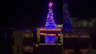 Christmas night views  beautiful Geelong cityaustralia nightchristmas [upl. by Aerdnuahs]