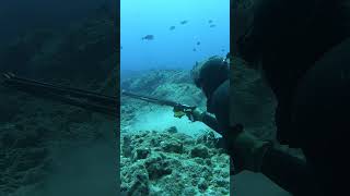 The Spearfishing Pros of Hawaii fishing spearfishing [upl. by Anhavas]