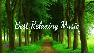 Relaxing Piano Music Romantic Music Beautiful Relaxing Music Sleep Music Stress Relief ★4 [upl. by Lawley]