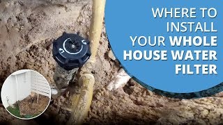 Where to Install Your Whole House Water Filter [upl. by Enifesoj]