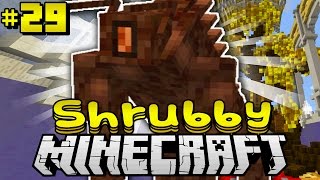 Das BÖSE übernimmt das FEENLAND  Minecraft Shrubby 29 DeutschHD [upl. by Olethea]