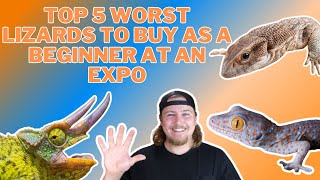 DON’T BUY THESE LIZARDS Top 5 Worst Lizards To Buy At Reptile Expos For Beginners [upl. by Carlyle833]