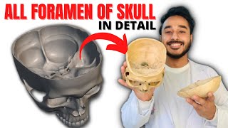 all foramen of skull anatomy  skull foramen anatomy  skull foramina anatomy [upl. by Eugirne992]