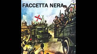 faccetta nera cover Matteo Salvini [upl. by Silohcin903]