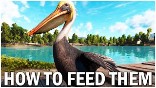 Far Cry 6 How to Feed Pelicans EASY [upl. by Ssitruc]