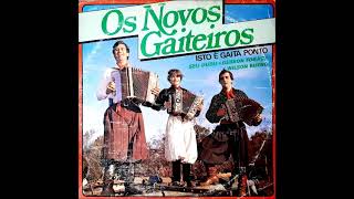 Os Novos Gaiteiros  Porteira Velha  Vanerão  Seu Dudu  LP 1983  Faixa 05  Lado A [upl. by Sarson]