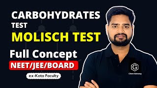 Test for Carbohydrates Molisch Test IIT JEE  NEET BOARDS chemgateway jee2024 [upl. by Elatan428]