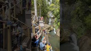 Hooray Fairy Falls Track is back 🧚 travel newzealand waterfall [upl. by Nosna]