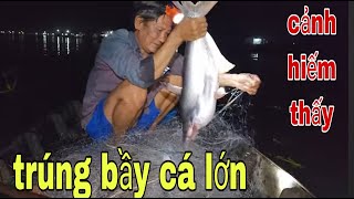 Chuyện Gì Xảy Ra Vậy Nè Giăng Lưới Cá Tra Không Ngờ Trúng Bầy Ba Sa Khủng  SĂN BẮT ĐỒNG THÁP [upl. by Silyhp]